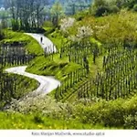 Semesterbostad Bela Luna - Charming Garden Near Bled Bohinjska Bela