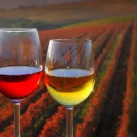 Bela Luna - Charming Garden Near Bled Prázdninový dům *