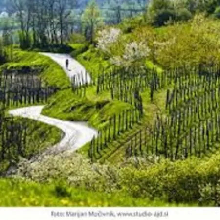 Feriehus Bela Luna - Charming Garden Near Bled Bohinjska Bela