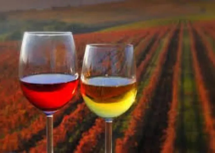 Bela Luna - Charming Garden Near Bled بيت للعطل *