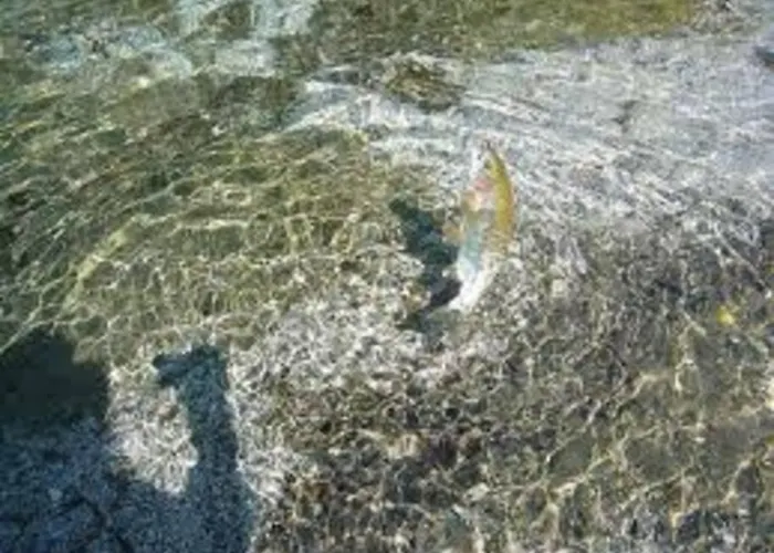 Bela Luna - Charming Garden Near Bled * ゴレンスカ地方