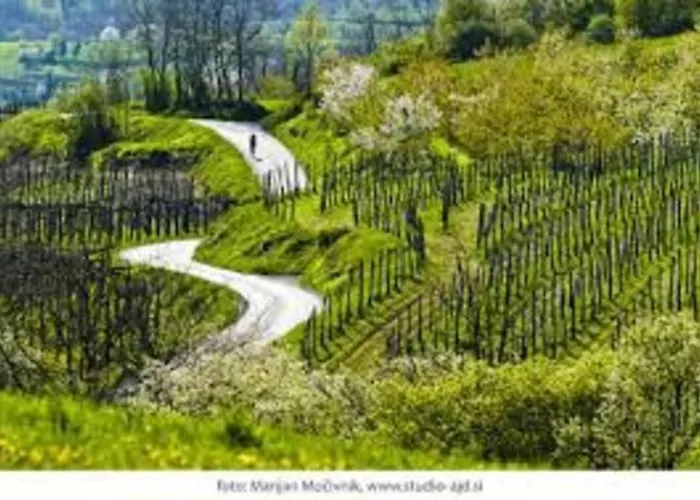 別荘 Bela Luna - Charming Garden Near Bled ゴレンスカ地方
